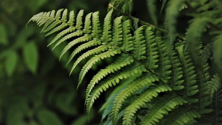 Ekologiczne zbiorniki na ścieki — jak wybrać najlepszy dla domu